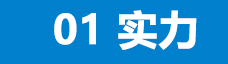 <b>10 余年行業(yè)經(jīng)驗(yàn)，</b>技術(shù)強(qiáng)大